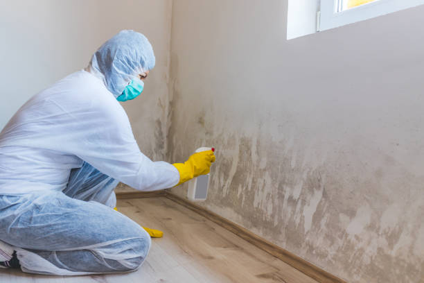 Hvac And Air Duct Mold Remediation inspection of HVAC system in Blain