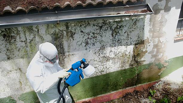 Clearance testing in Blain